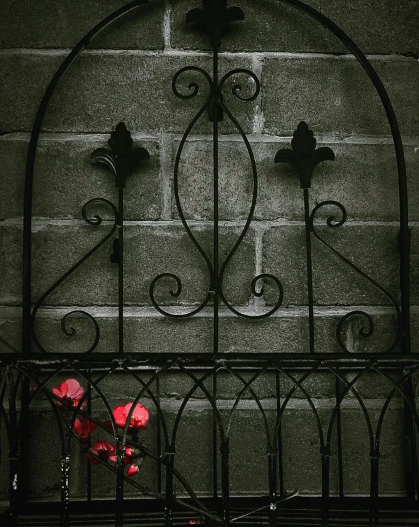 Persephone's Return