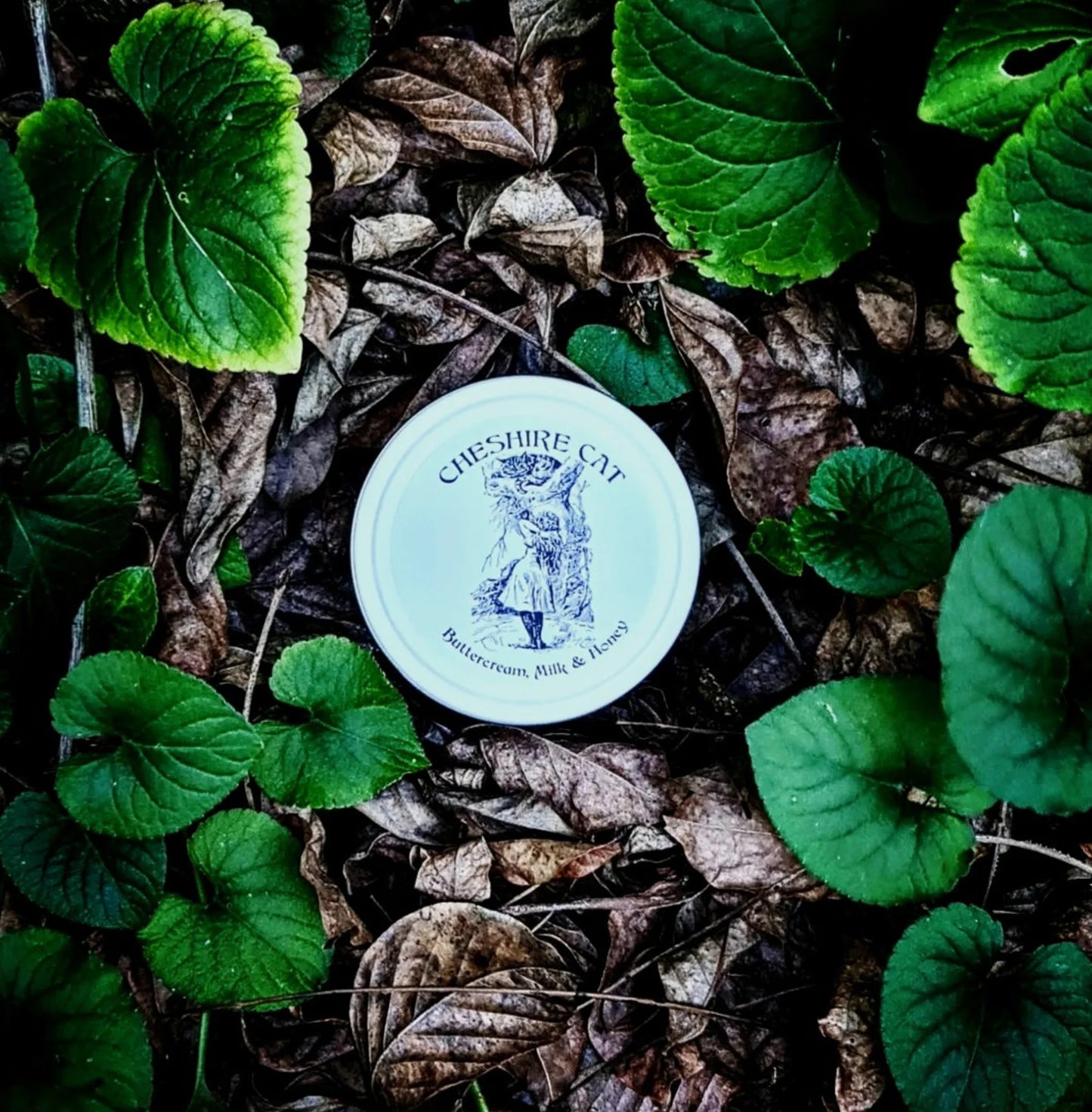 CHESHIRE CAT ~ Buttercream, Milk & Honey