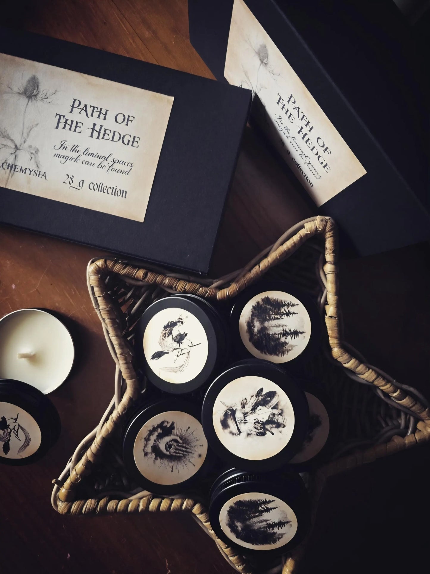 Path of The Hedge Discovery Box