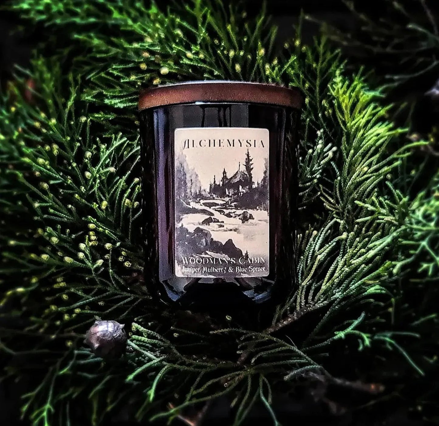 WOODMAN'S CABIN ~ Juniper, Mulberry & Blue Spruce