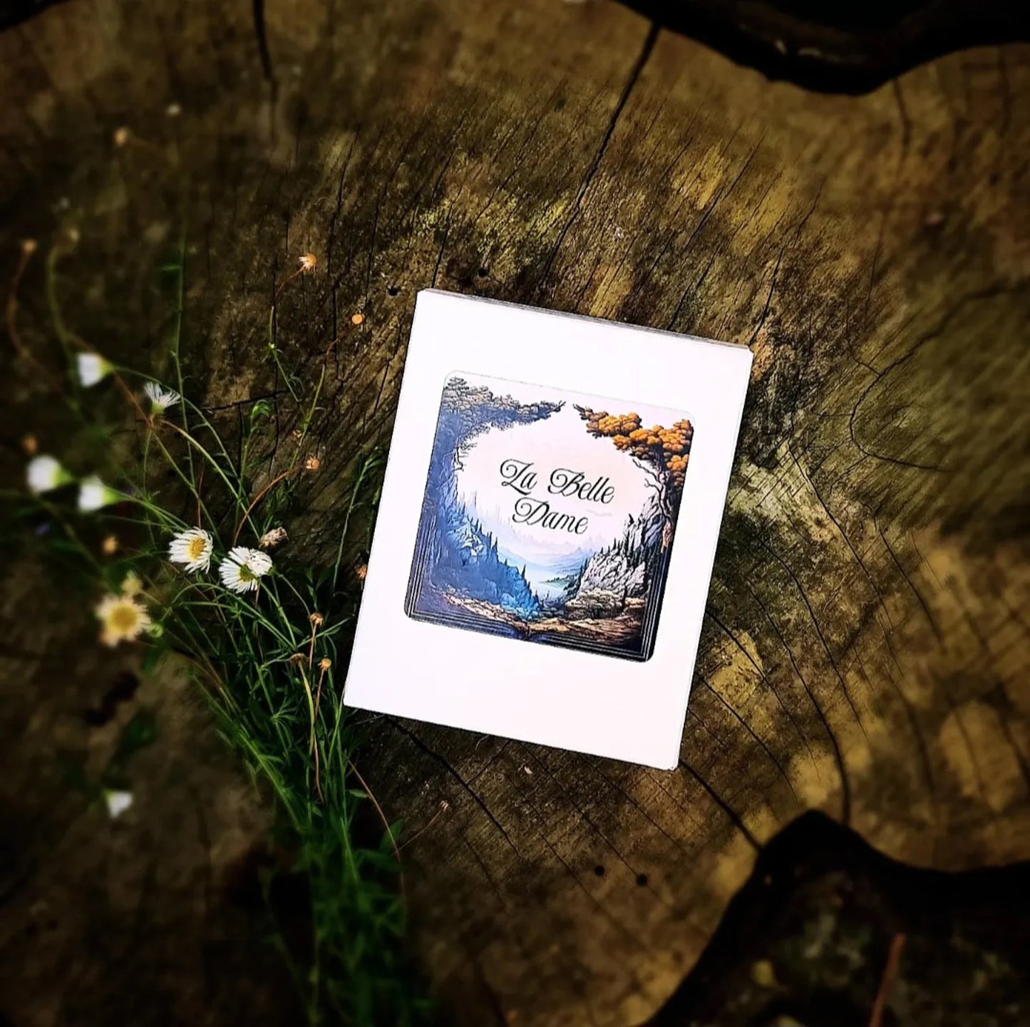 LA BELLE DAME ~ Highland Herbs, Teak & Isle Air