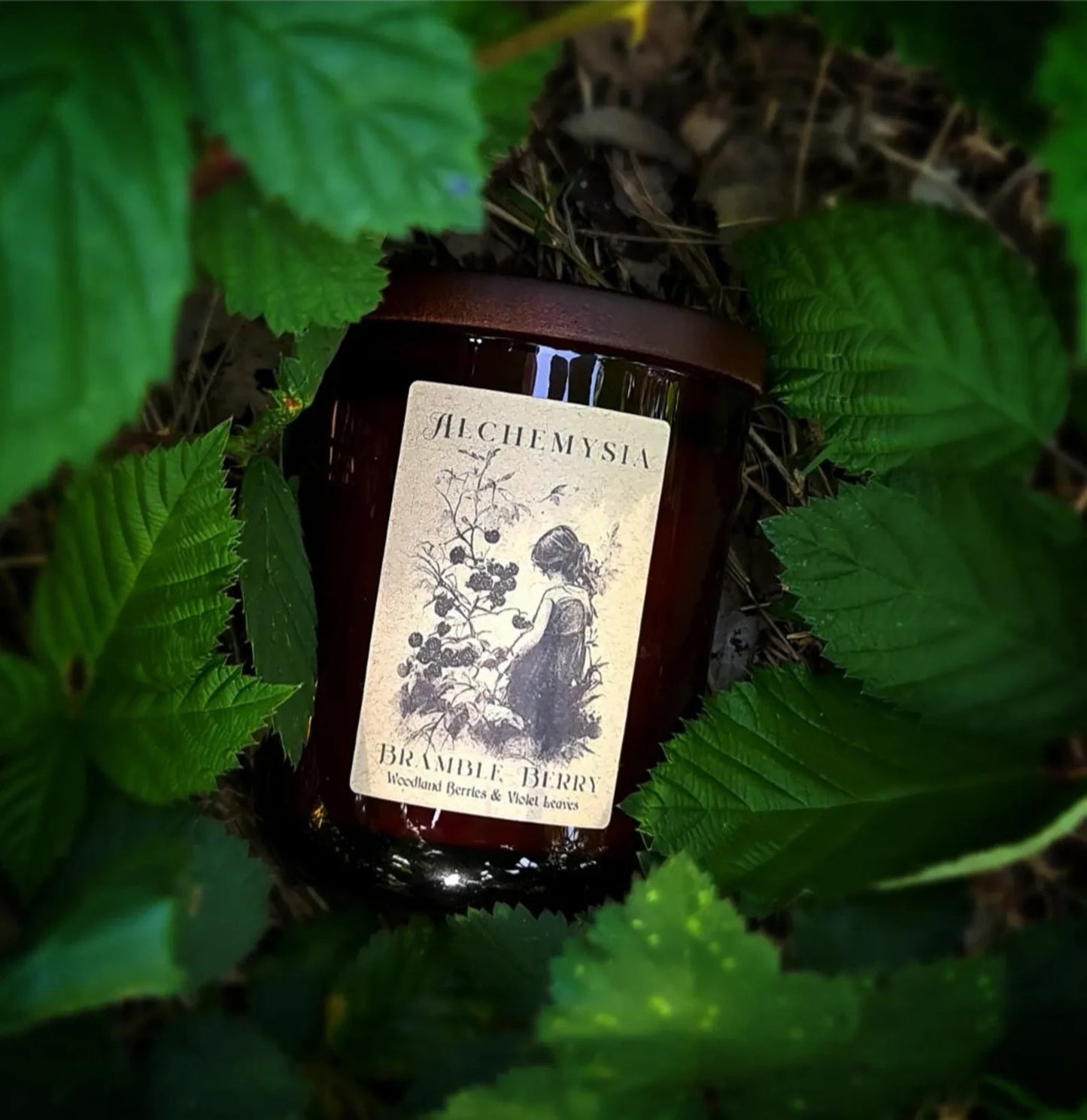BRAMBLE BERRY ~ Woodland Berries, Lilac & Violet Leaves