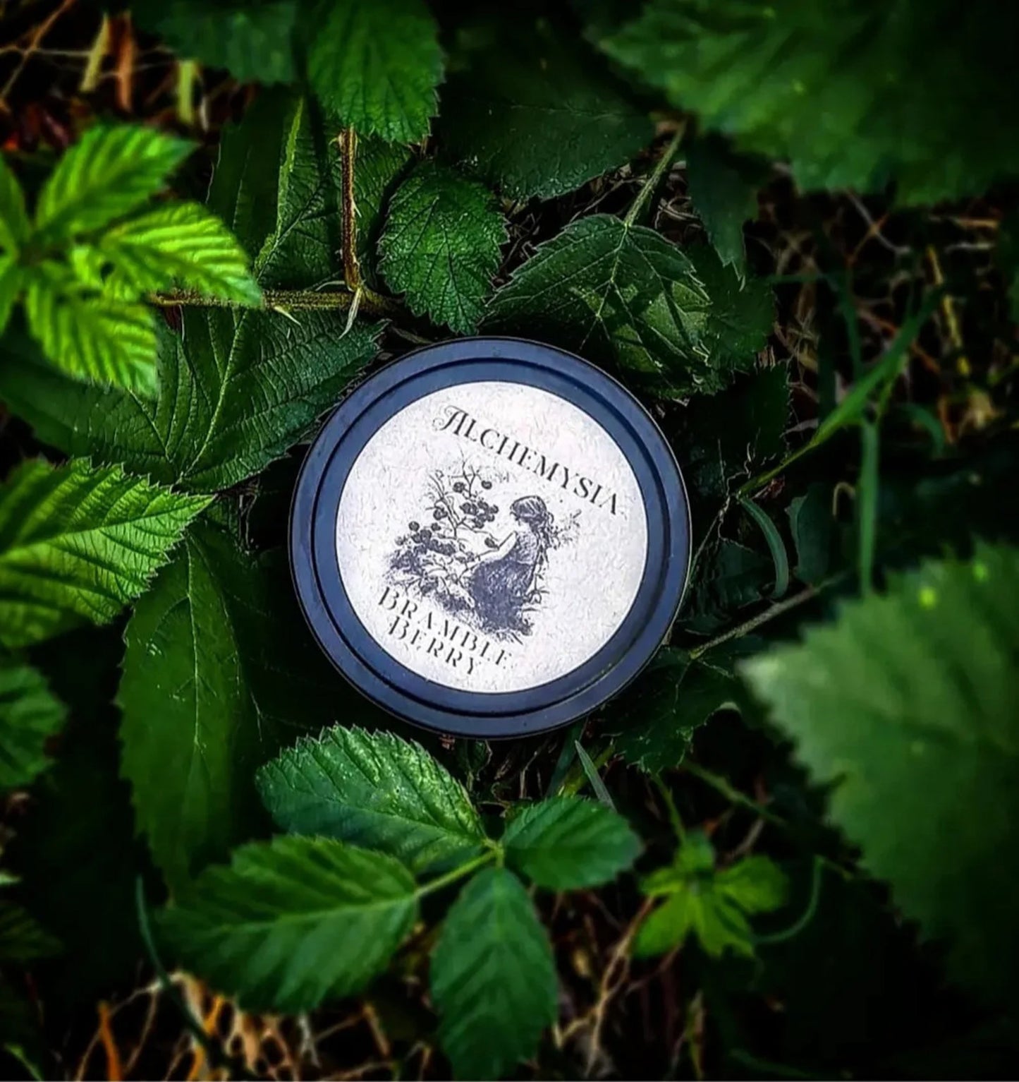 BRAMBLE BERRY ~ Woodland Berries, Lilac & Violet Leaves