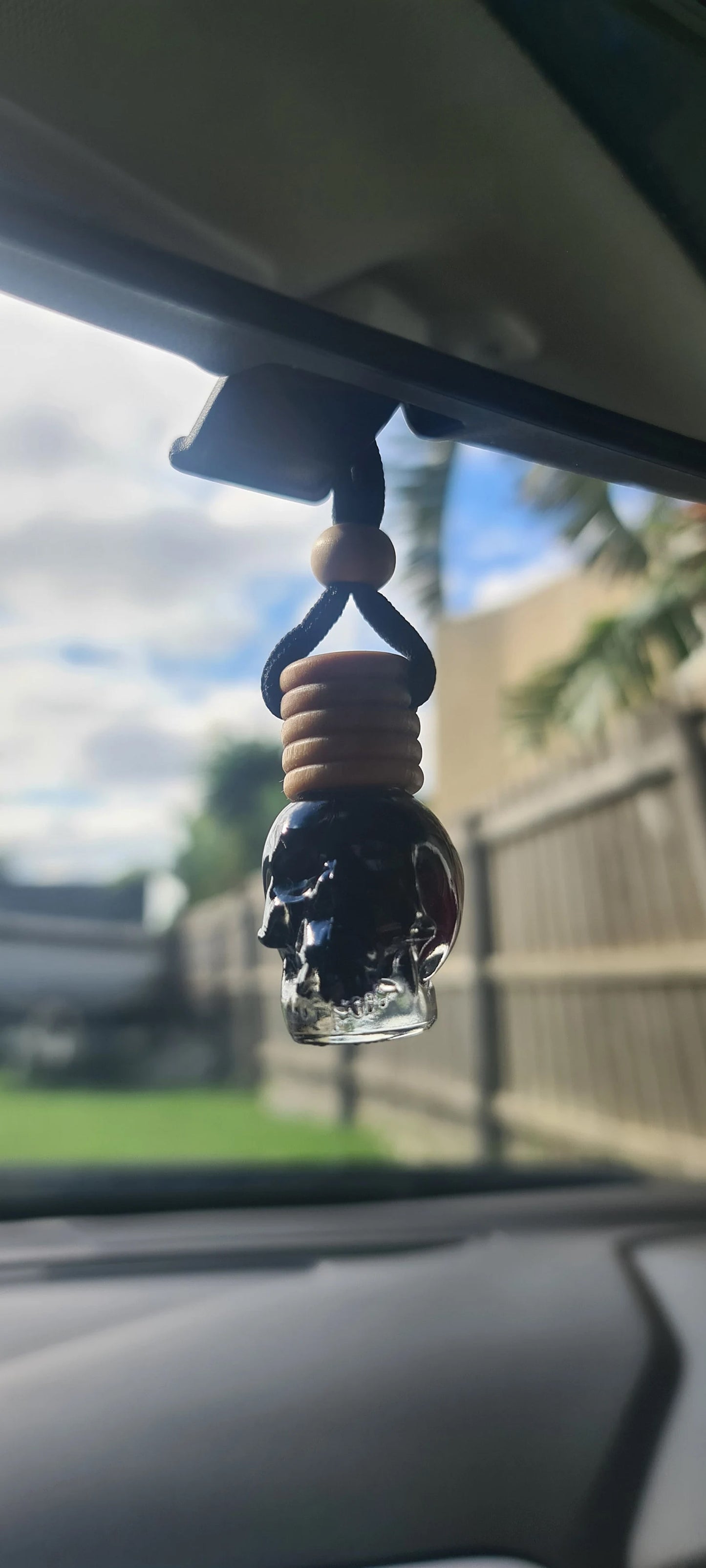 Mini Skull Diffuser Selection