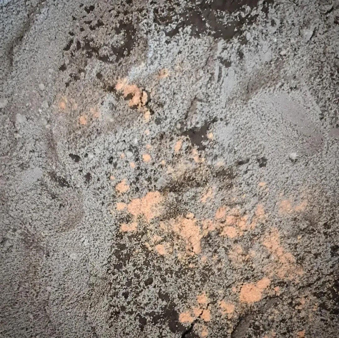 DARK GODDESS ~ Black Clay Milk Bath