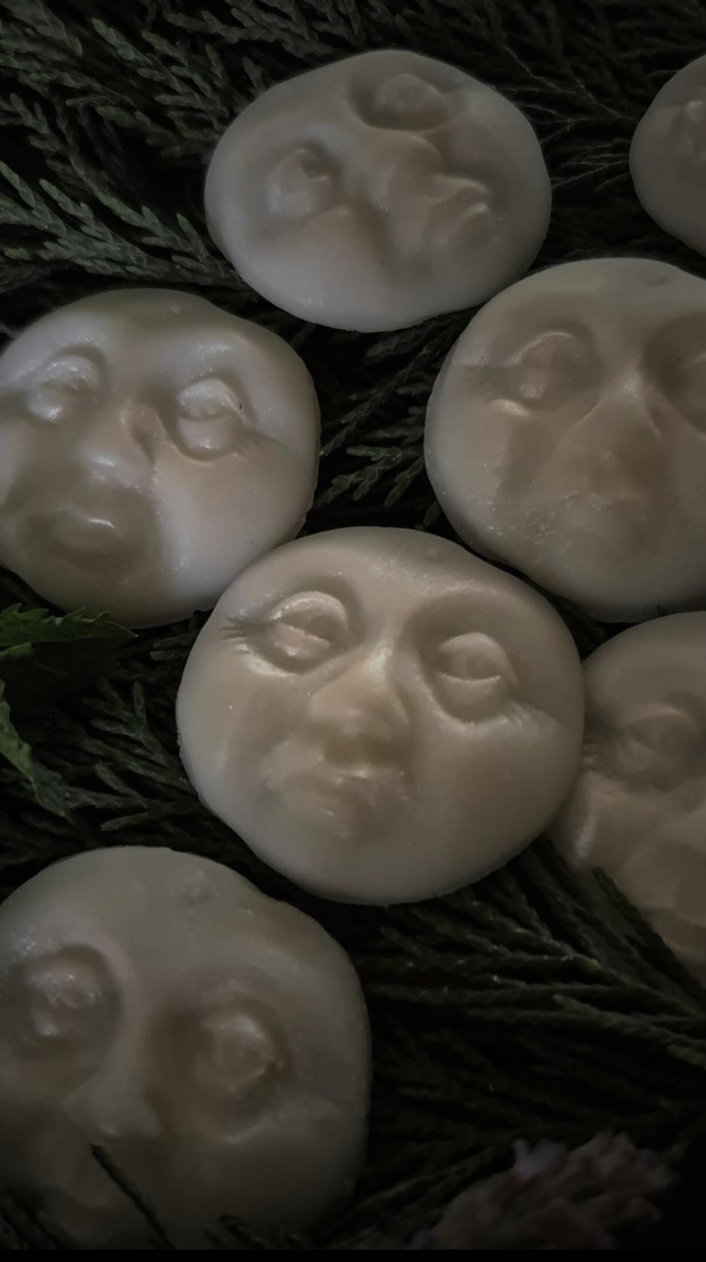 Snow Moon Wax Melts