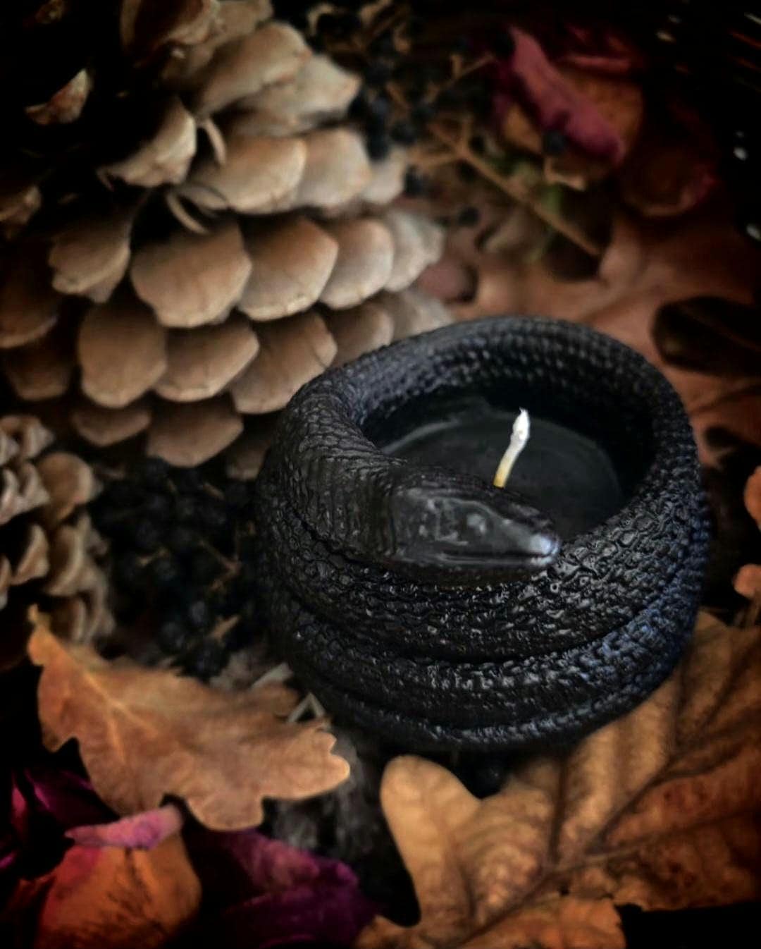 Black Serpent Candle