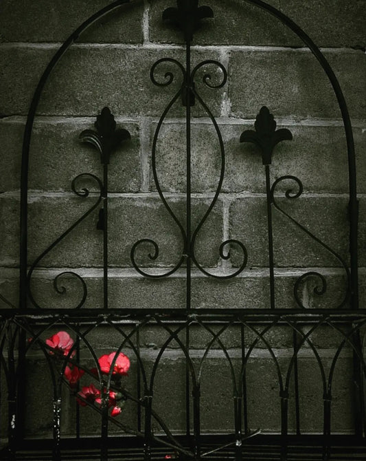 Persephone's Return