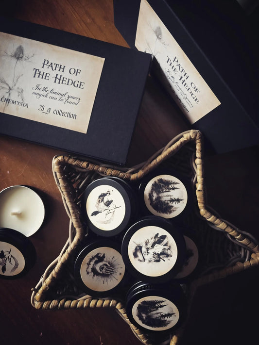 Path of The Hedge Discovery Box