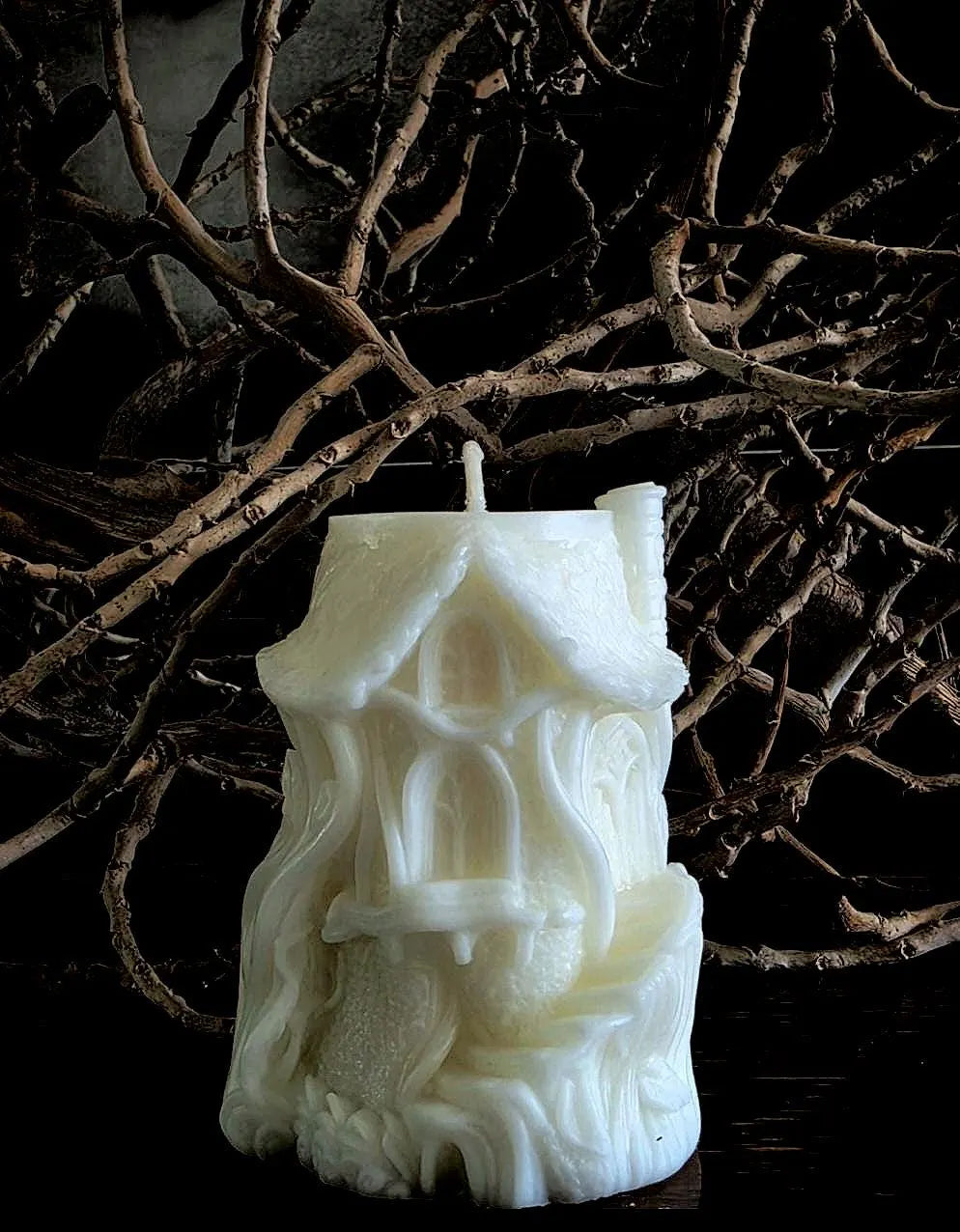 THE WITCHES' HOUSE ~ Midnight Margarita