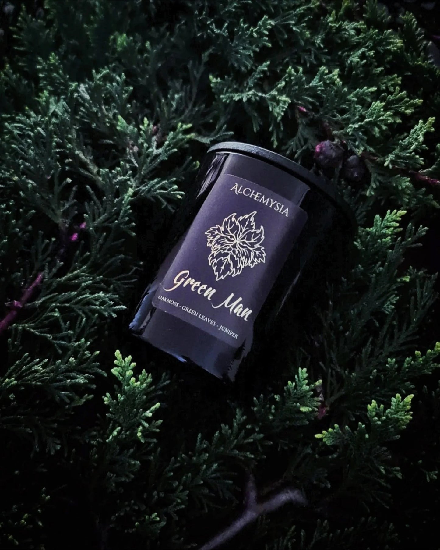 GREEN MAN ~ Oakmoss, Green Leaves & Juniper