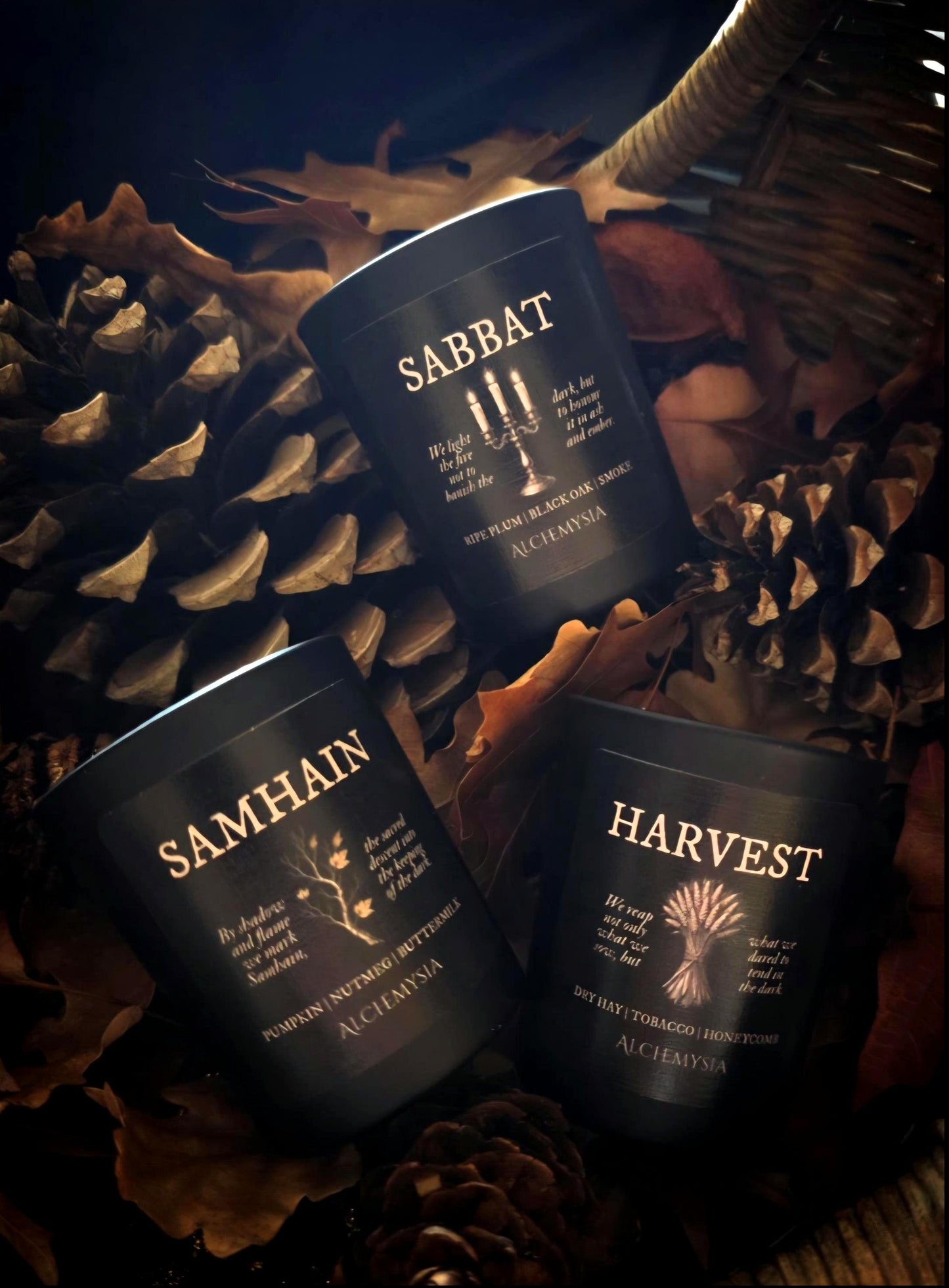 THE TURNING SEASON Discovery Set