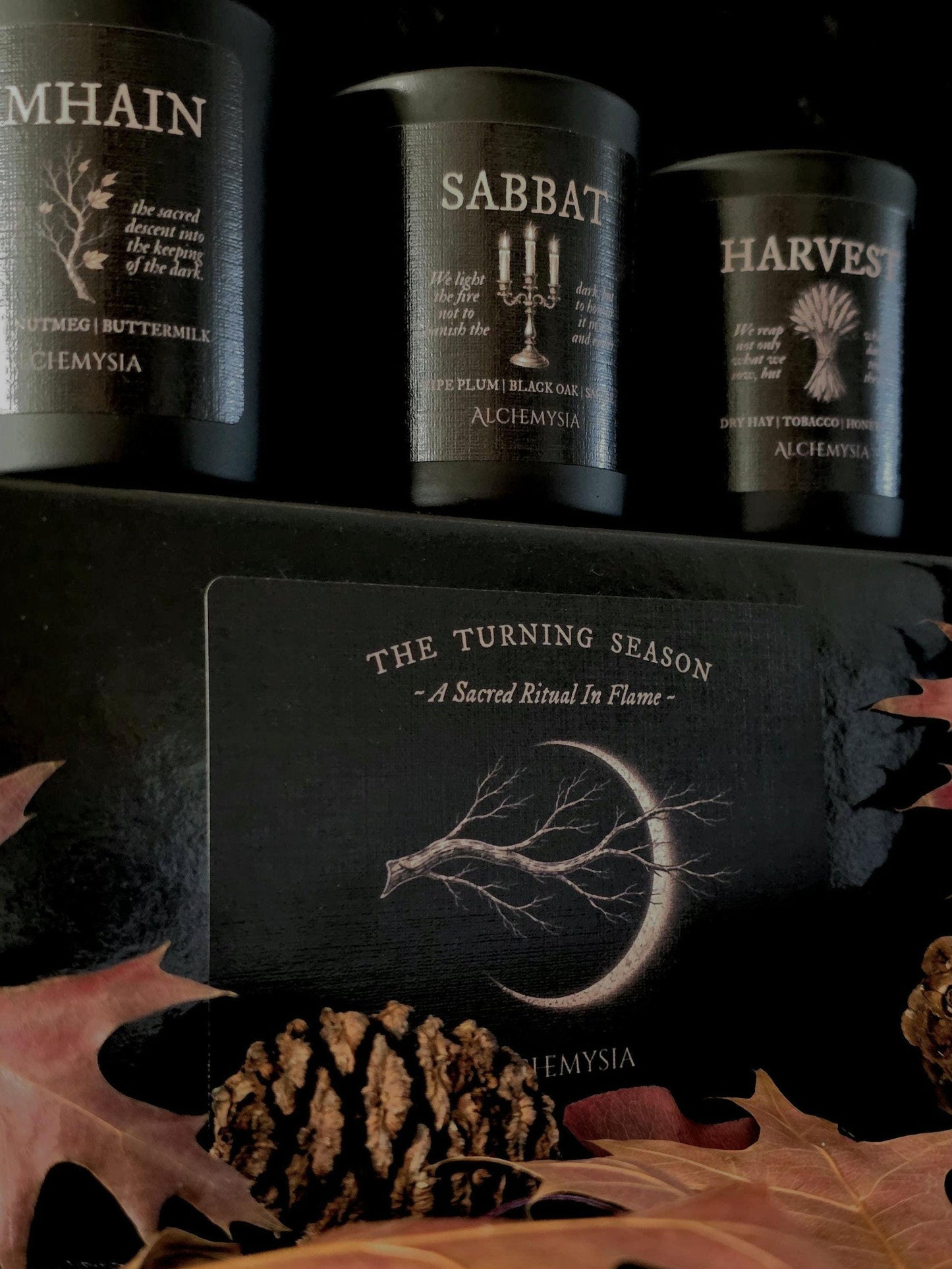 THE TURNING SEASON Discovery Set