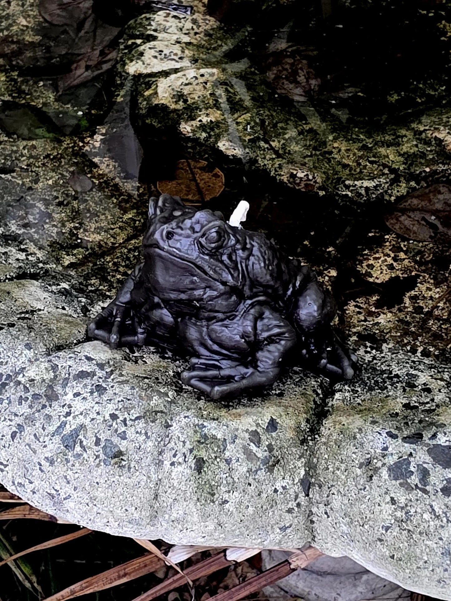 Fenwraith Toad ~ Rivergrass | Leather | Oudh