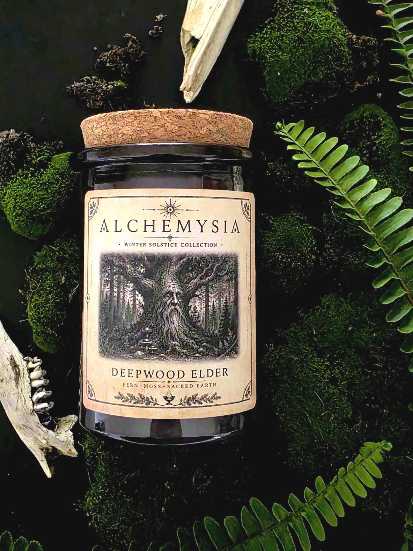 DEEPWOOD ELDER ~ Fern | Moss | Sacred Earth