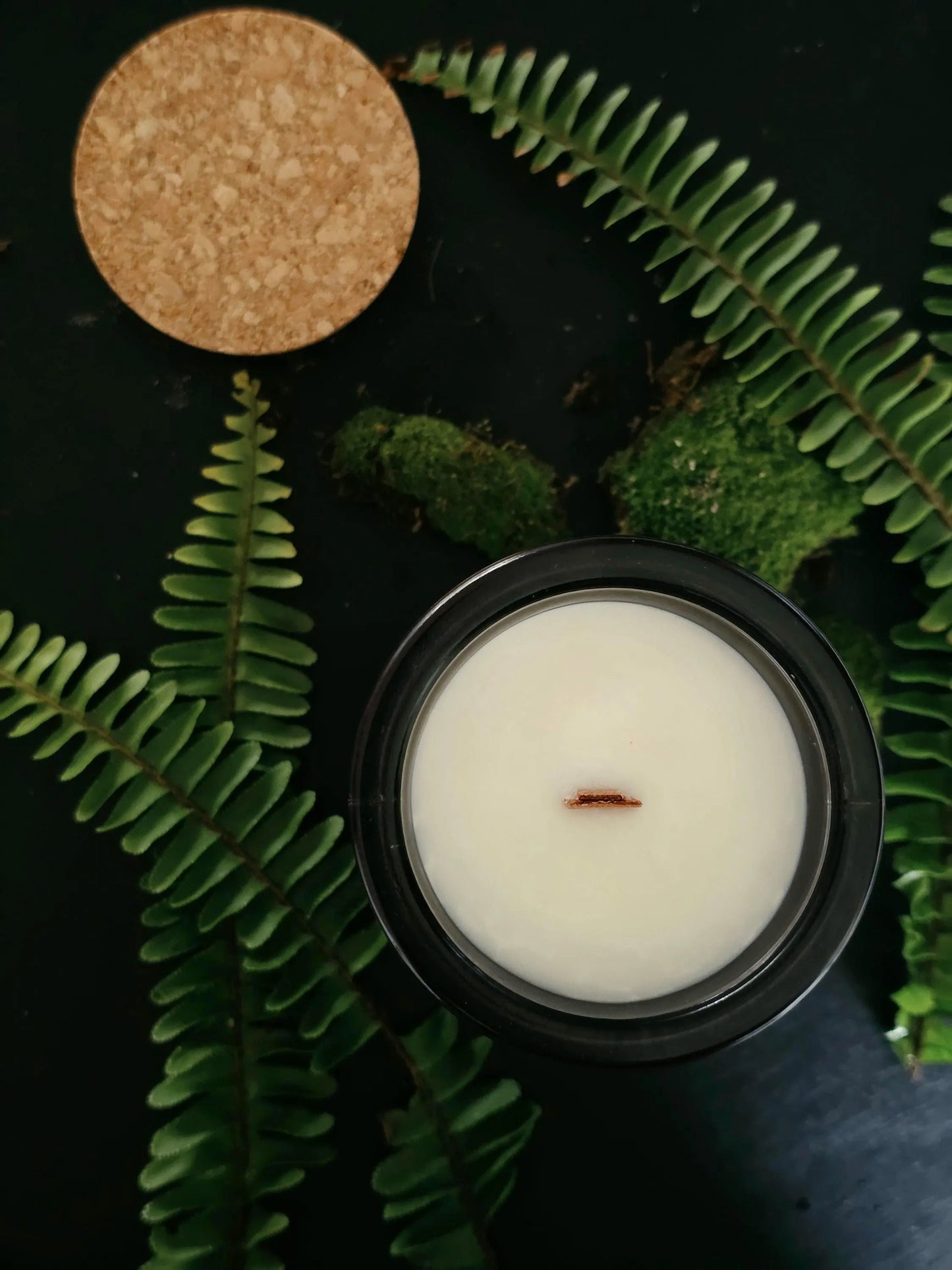 DEEPWOOD ELDER ~ Fern | Moss | Sacred Earth
