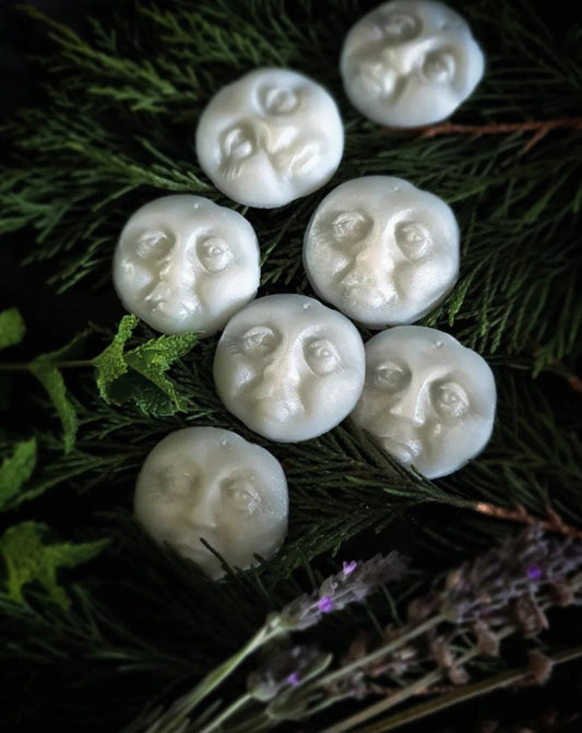 Snow Moon Wax Melts
